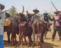 MACBAN VOWS TO COOPERATE WITH SECURITY AGENTS FLUSH OUT CRIMINALS