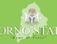 Borno lawmaker offers free UTME registration for 1,000 indigent students