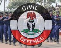 NSCDC ARRESTS 10 PERSONS OVER FUEL SCARCITY IN GOMBE