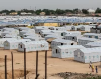 BENUE NOW HOUSES 27 IDPS CAMPS WITH 2 MILLION PERSONS