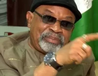 LABOUR MINISTER, NGIGE WARNS ASUU TO REFRAIN FROM INTIMIDATING NITDA OFFICIALS