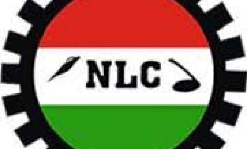 NLC GIVES FG 21-DAY ULTIMATUM TO RESOLVE ISSUES WITH ASUU, OTHERS