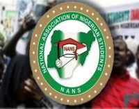 NANS DECLARES NO POLITICAL PARTY WILL HOLD PRESIDENTIAL PRIMARIES UNTIL ASUU STRIKE ENDS