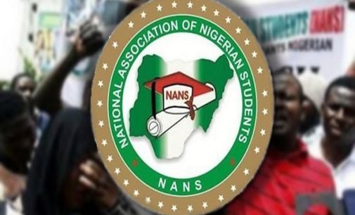 NANS DECLARES NO POLITICAL PARTY WILL HOLD PRESIDENTIAL PRIMARIES UNTIL ASUU STRIKE ENDS