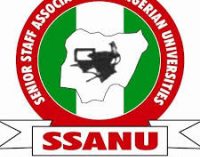 SSANU WARNS LINGERING STRIKE WILL SPELL DOOM FOR NIGERIA