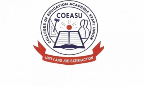 COLLEGE OF EDUCATION ACADEMIC STAFF BEGINS ONE-MONTH STRIKE