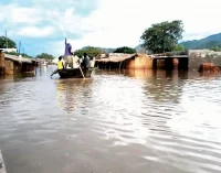 POLICE OFFICER, THREE OTHERS DEAD AS FLOOD WASHES AWAY 12 YOBE COMMUNITIES