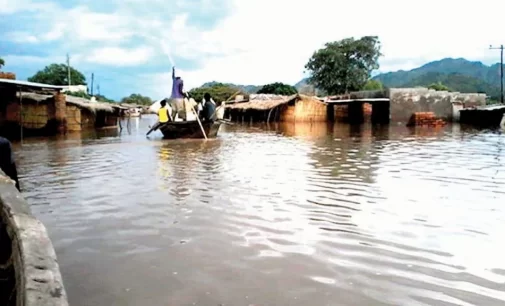 POLICE OFFICER, THREE OTHERS DEAD AS FLOOD WASHES AWAY 12 YOBE COMMUNITIES