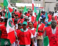 ASUU STRIKE: CANCEL PLANNED PROTEST, FEDERAL GOVERNMENT BEGS NLC