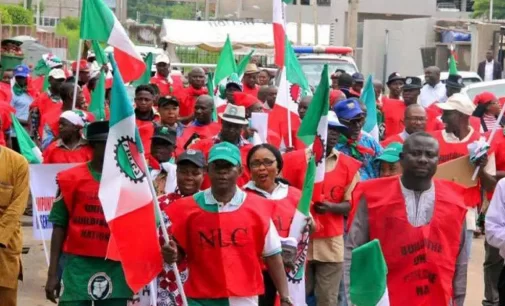 ASUU STRIKE: CANCEL PLANNED PROTEST, FEDERAL GOVERNMENT BEGS NLC