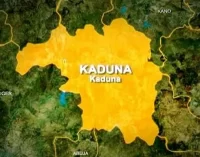 SOKAPU WARNS AGAINST FULANI FORMING VIGILANTE GROUP