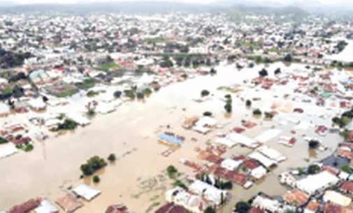 UNITED STATES PLEDGES $1MILLION FOR NIGERIA’S FLOOD-RAVAGED AREAS