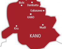 Five die, six survive boat mishap in Kano