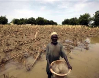 UN REVEALS CLIMATE CHANGE CAUSES TWO MILLION DEATHS IN 50 YEARS